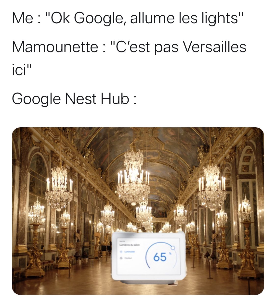 Meme Google Nest Hub dans la galerie des Glaces à Versailles