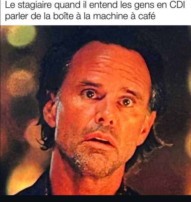 Meme The White Lotus sur le stagiaire